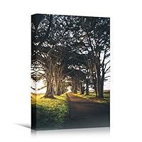 Canvas Wall Art Green Forest Dramatic Forest Landscape Living Room Multicolor Photography Rustic - 12x18 inches