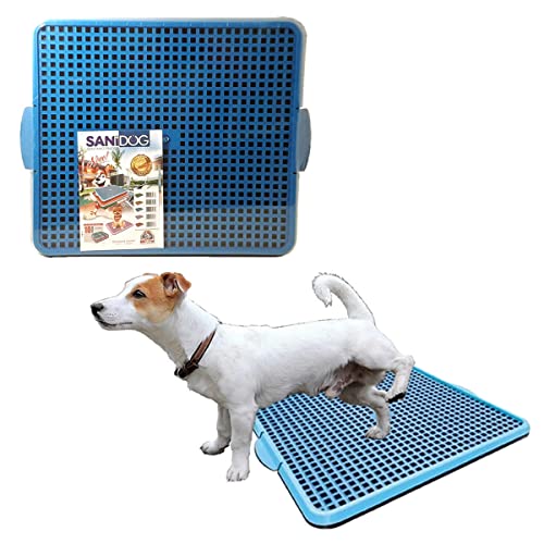Sanitário Canino Pipi Dog Banheiro Pet Tapete Cachorro - P (Azul)