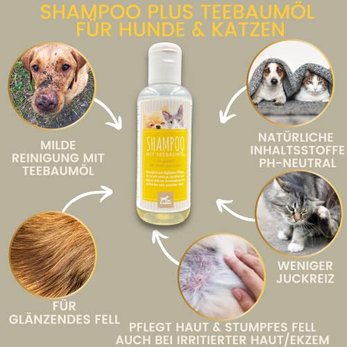 Tea Tree Shampoo Hund Katzen 250ml – mildes Hundeshampoo mit Teebaumöl pH-neutral I Glanzshampoo für Fell & Langhaar I Katzenshampoo für empfindliche Haut & Juckreiz I Fellpflege für Hund & Katze