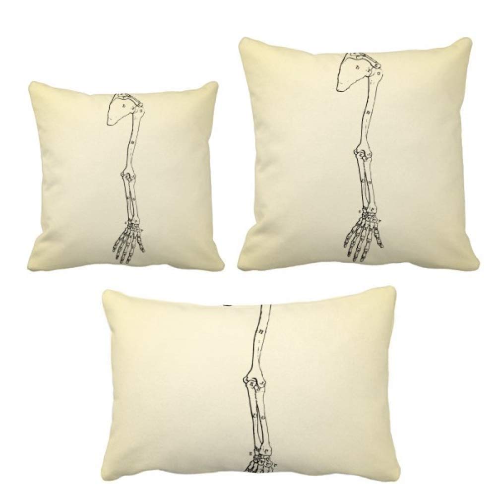 Coussin os de bras croquis corps humain idée cadeau décoration originale sofa