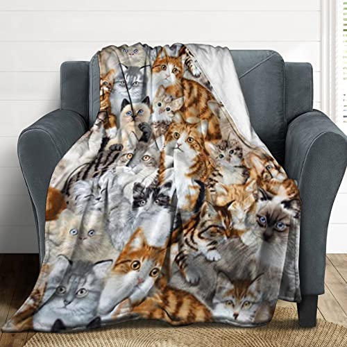 Cat Sofa Throw Blanket Flannel Super Soft Warm Fleece Bedspread Home Decor All Season For Bed Couch Living Room Large 50"X40" In #TOP4