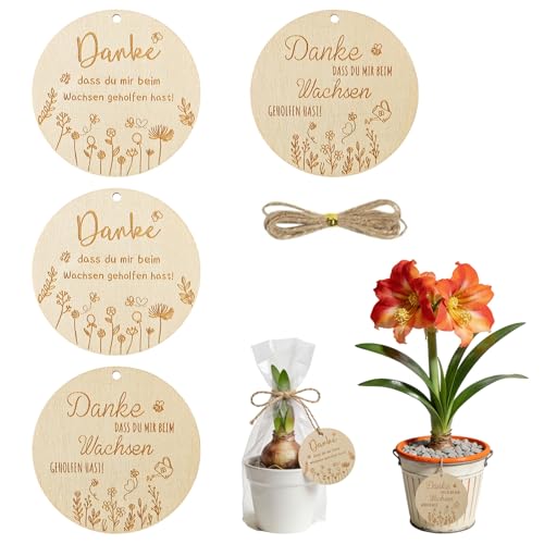 RgitFzi 4er Set Holzanhänger 8x8cm Danke dass du mir beim Wachsen geholfen hast Geschenk Erzieherin Abschied Naturholz Pflanzenstecker für Lehrer Mit Juteseil