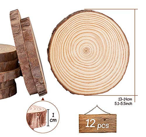 Lemonfilter Natural Wood Slices 12 Pcs 5.1-5.5 Inches Craft Wood Kit Wooden Circles Unfinished Log Wooden Rounds For Arts Crafts Wedding Christmas Diy Projects #TOP1