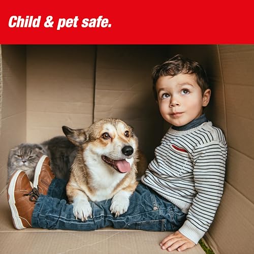 SWISSINNO Trappola per Topi PRO SuperCat. Efficiente, umana e riutilizzabile con esche. Cattura e Uccide all'istante. Sicura, No colpi a vuoto. Prodotta in UE: 2 trappole SWISSINNO Trappola per Topi PRO SuperCat. Efficiente, umana e riutilizzabile con esche. Cattura e Uccide all'istante. Sicura, No colpi a vuoto. Prodotta in UE: 2 trappole
