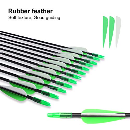 ANTSIR 30 Fiberglass Archery Target Arrows- Practice Arrows for Kids Youth or Begineers on Recurve Bow Long Bow Traditional Bow (Green Vanes Pack of 12)