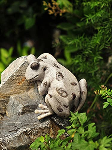 Simulation animale grenouille décorative pour cour et muret extérieur - 4