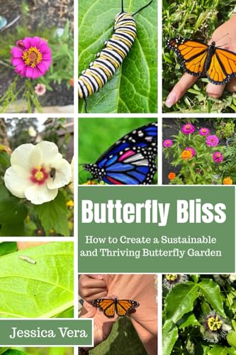 Butterfly Bliss: How to Create a Sustainable and Thriving Butterfly Garden