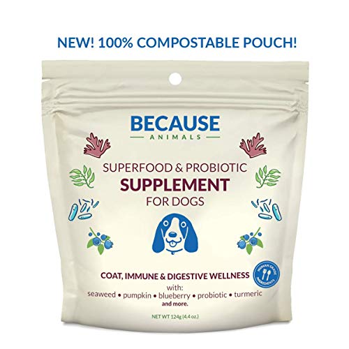 Because Animals Superfood & Probiotic Supplement for Dogs (4.4oz) – All-Natural, Human-Grade Ingredients