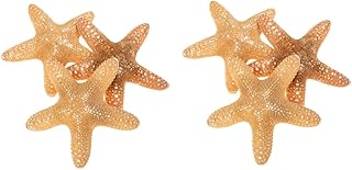 NOLITOY 6 Peças Decoração De Estrela Do Mar Natural Estante De Livros Peixes Náuticos Decoração De Parede Natural Estrelas Do Mar Praia Estrela Desktop Estrelas Do Mar Estrela Joias