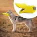 Maulkorb Für Hunde, Entenschnabel-Typ, Anti Biss Ente Mund Form Hund Mundabdeckungen Anti Rall Haustier Mund Set Anti-Bell- Und Anti-Fress-Maske, Silikon-Maulkorb Für Kleine Hunde