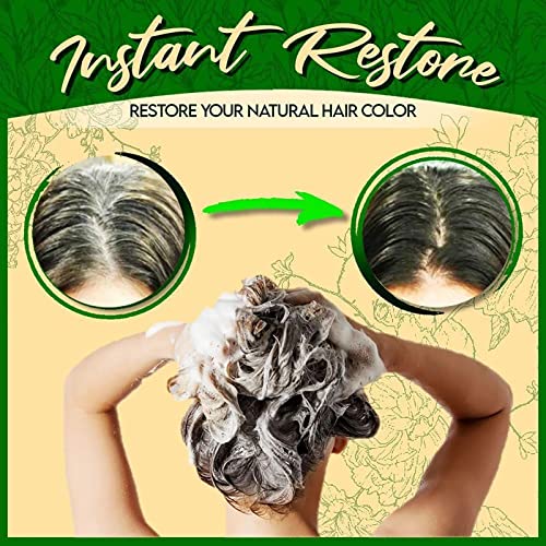 Haarfärbemittel für Herren: WESTCITY Instant Black Hair Shampoo 3 in 1