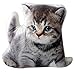 Produktbild Naturgetreues kuscheliges Katzen Kätzchen Kissen, Dekokissen, Zierkissen in Katzenform, ca 44 x 39cm