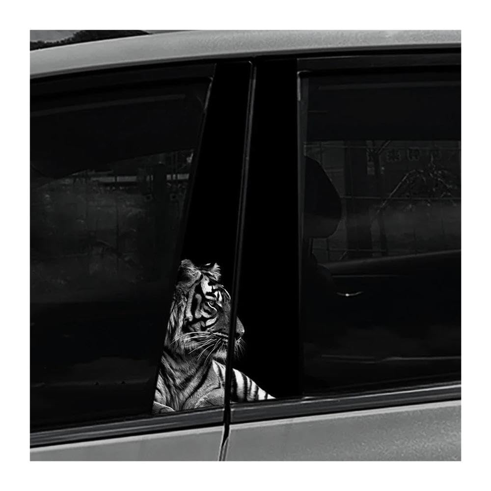 Decorative Items 2PCS Auto Center Pillar Sticker Tiger Waterproof Car B-Pillar Vinyl Decals(H)