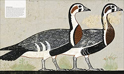 Ancient Egypt: The Definitive Visual History (DK Classic History) - Image 6