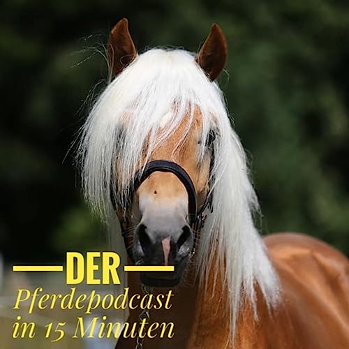 『Der Pferdepodcast in 15 Minuten』のカバーアート