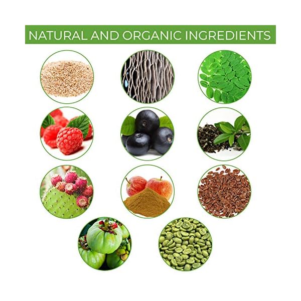 High Fiber Belly Fat Flush Plus Fast Acting Fat Burning - Eliminar la grasa del Abdomen - Appetite Suppressant, Flush Out Belly Fat, Boost Health & Energy/Weight Loss Formula - Omega 3, 6 & 9