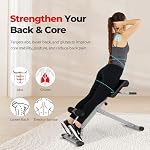 Sunny Health & Fitness Chaise romaine multi-fonctions avec station Dip & Banc assis, équipement d'entraînement réglable pour les forces lourdes pour les colles, base & Entraînement du corps inférieur, Machine d'hyperextension pour le gymnastique à domicile