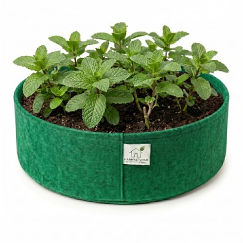 Image of 400 GSM Geo Fabric Round Grow Bags 15x6 Inch, Green Planting Bags for Terrace and Kitchen Gardening Pack of 1