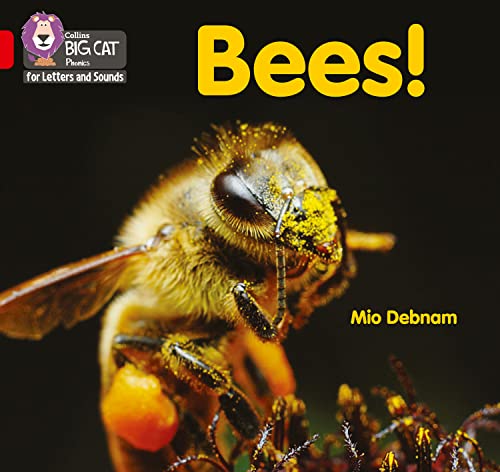 Bees!: Band 02B/Red B (Collins Big Cat Phonics for Letters and Sounds)