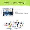 Paint by Number Mount Shasta, Lake and Mountain Reflection Paint by Numbers for Adults, Trees Nature Landscape Acrylic DIY Oil Painting on Canvas for Gift, Home Wall Decor(16x20inch, No Frame) #4