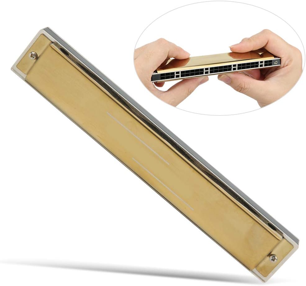 24 Holes Key of C Diatonic Harmonica Mouth Organ with Case for Adult Students Beginner (Key) Wind Instrument