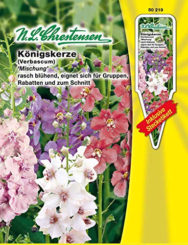 Preisvergleich Produktbild Verbascum phoeniceum, Königskerze, Mischung