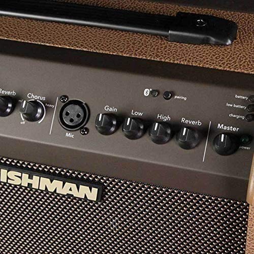 Amazon.co.jp: FISHMAN フィッシュマン ラウドボックス・ミニ