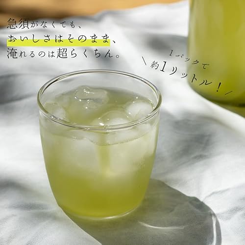 静岡掛川茶 水出し煎茶 緑茶ティーバッグ 125g