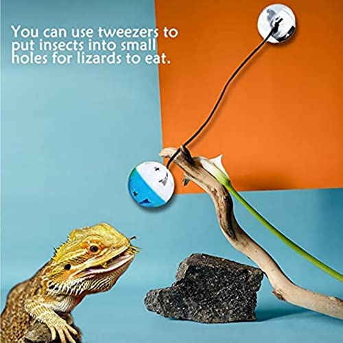 Bolas de sino de brinquedo de dragão barbudo - Lagarto Perseguindo Bolas Não É Fácil De Deformar - A