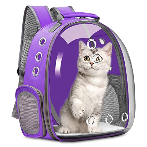 ybgL[obO LL[ Lp FDJvZ^ bNTbN sybgobO  o ʋC e ϋv S ܂肽 pbht O[(D)