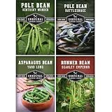 Pole Bean Seed Collection for Planting – Survival Garden Seeds