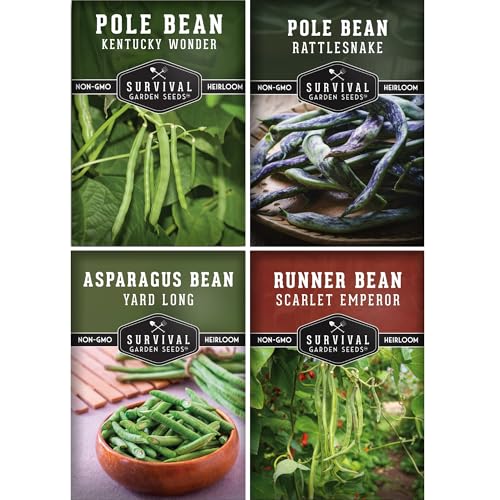 Pole Bean Seed Collection for Planting Survival Garden Seeds