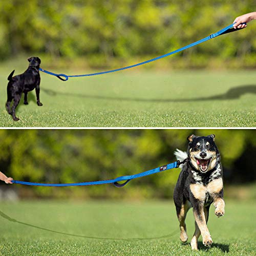 Image of Pioneer Petcore Dog Leash 6ft Long,Traffic Padded Two Handle,Heavy Duty,Reflective Double Handles Lead for Control Safety Training,Leashes for Large Dogs or Medium Dogs,Dual Handles Leads(Sky Blue)