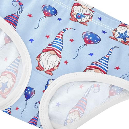Cute Gnomes Independence Day Toddler Girls's Underwear 2T 202c18024
