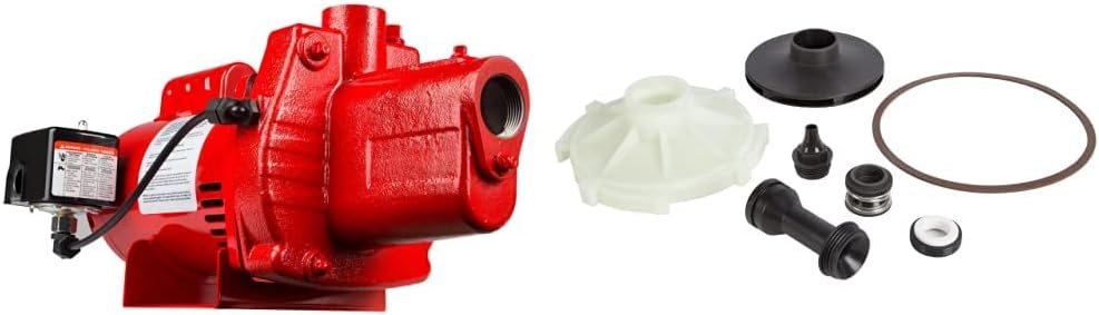 Red Lion 602207 Premium Cast Iron Shallow Well Jet Pump, 9"H & 305584007 Overhaul Kit for RJS-75-PREM 3/4 HP Shallow Well Jet Pump, Natural