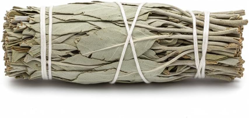 Natural White Sage Smudge Sticks (4-Inch) - California Grown Sage Bundles for Cleansing House of Negative Energy, Spiritual Purification, Meditation & Smudging Rituals