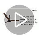 Image of Colorbot Stella BLDC Ceiling Fans 1200mm | BEE 5 Star Rated 370 RPM | Savings up to 65% | Remote Control (Boost, Timer, LED, Reverse Mode) | 4 Years Warranty (Urban Oak)
