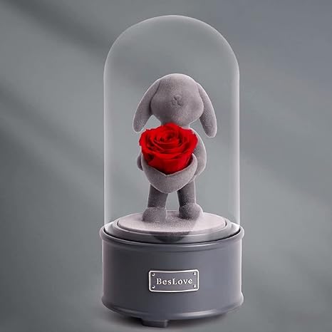 Amazon Co Jp オルゴール 音楽ボックス プリザーブドフラワー バラ 花 回転式 癒しグッズ 置物 飾り かわいい 熊 ロマンチック おしゃれ オブジェ ラブ 恋人 彼女 妻 プロポーズ 告白 プレゼント 誕生日プレゼント 結婚 楽曲 天空の城ラピュタ モデル4 Himeno おもちゃ