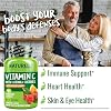 NATURELO Vitamin C with Organic Acerola Cherry Extract and Citrus Bioflavonoids - Vegan Supplement - Immune Support - 500 mg VIT C per Cap - Non-GMO - 90 Capsules