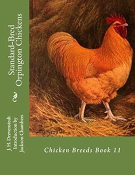 Paperback Standard-Bred Orpington Chickens: Chicken Breeds Book 11 Book