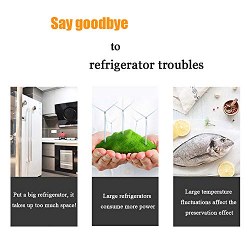 Guangming - Compact Upright Freezer, 30 Litre Capacity Table Top Fridge 1 Shelf, 7-Level Adjustable Temperature Level, Low Energy Single Door Refrigerator For Home/Kitchen/Office, Black #TOP5