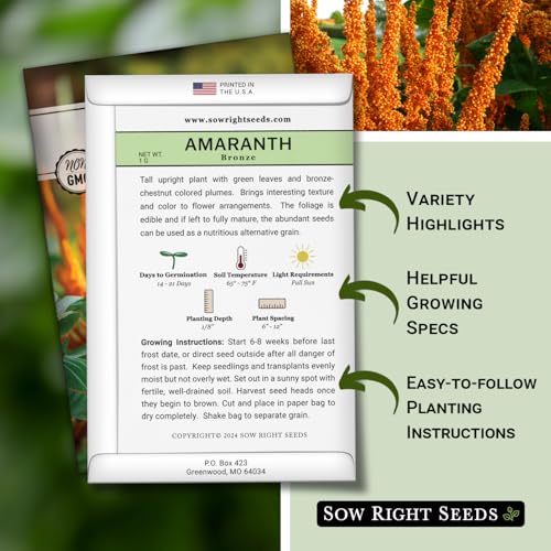 Sow Right Seeds - Bronze Amaranth Seeds for Planting - Non-GMO Heirloom Packet with Instructions to Plant & Grow an Outdoor Home Vegetable Garden - Colorful & Unique Autumn Bouquets (1) - Thumbnail 2
