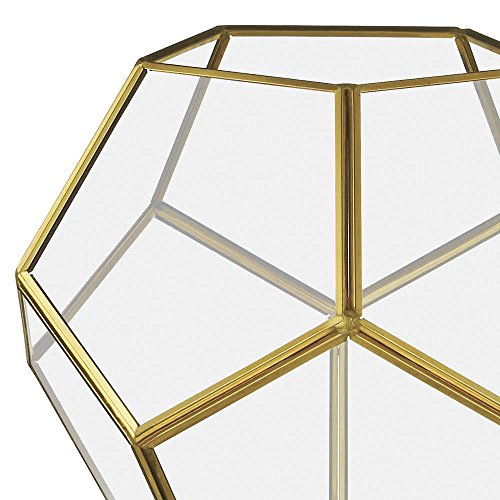 Terrario em Vidro e Latao, Mart, Preto