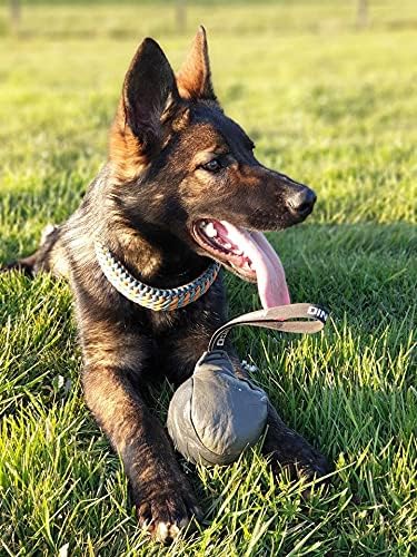DINGO GEAR Soft Genuine Leather Ball with a Handle for the Bite Training diameter 11 cm Retrieve and Reward Dog Toy S02779, Random - Image 4