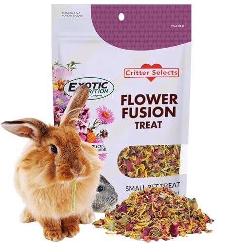 Flower Fusion Treat (3 oz.) - Healthy Natural Dried Flower Herbivore Treat - Chinchillas, Guinea Pigs, Rabbits, Prairie Dogs, Degus, Hamsters, Rats, Squirrels, Sugar Gliders & Other Small Pets