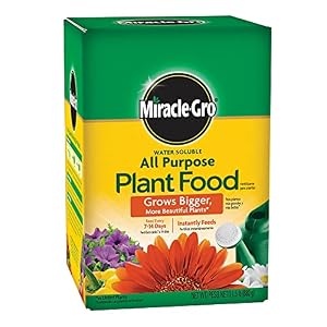 Miracle-Gro Water Soluble All Purpose Plant Food – Fertilizer For All Indoor or Outdoor Plants including Roses, Flowers, Vegetables, Houseplants, Trees, and Shrubs, 1.5 lbs.