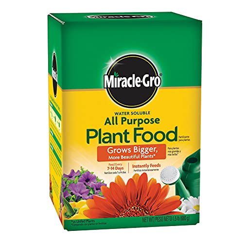 Miracle-Gro Water Soluble All Purpose Plant Food - Fertilizer For All Indoor or Outdoor Plants including Roses, Flowers, Vegetables, Houseplants, Trees, and Shrubs, 1.5 lbs. 1.5 lb. Single P
