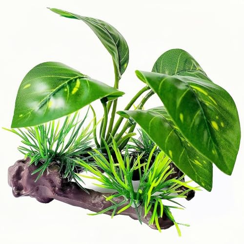 MRTIOO Reptile Artificial Plants, Terrarium Plants Decorations Supplies, Amphibian Habitat Hideout Tank Accessories, Rainforest Ground Plant (AA) - Thumbnail 2