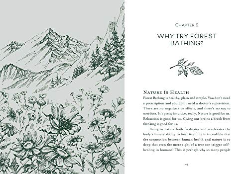 Healing Trees: A Pocket Guide to Forest Bathing