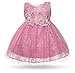 CIELARKO Baby Girl Dress Infant Flower Lace Wedding Party Dresses for 0-24 Months (19-24 Months, Purple)